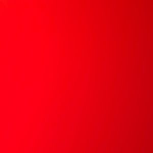 Meet your Posher, Lizbeth